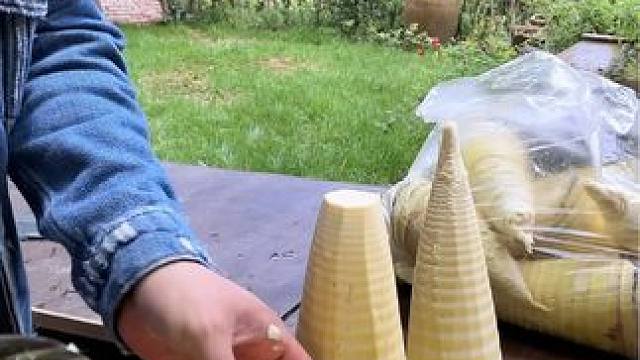 今天学会挖竹笋，以后有免费午餐了#我的乡村生活 #山上的竹笋挖呀挖不完