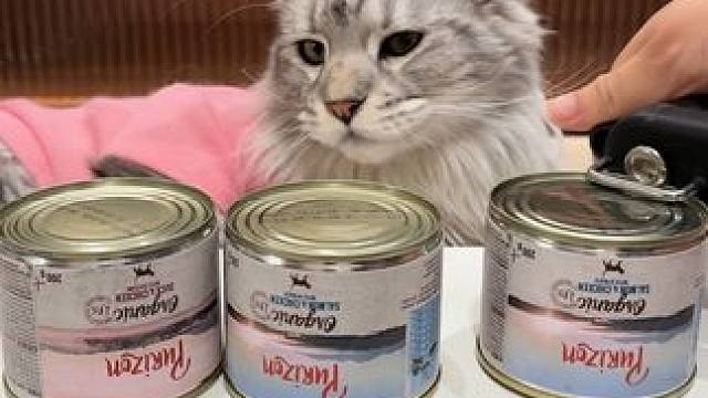 有机真的好难吃呀#喂猫日记 #猫罐头 #铲屎官日记 #养宠进阶指南