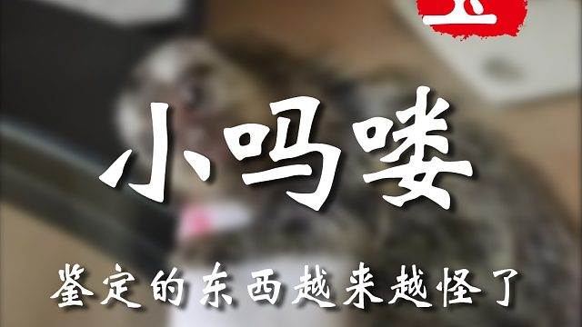 这小东西还有几分姿色呢