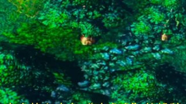 这是几分选手？ #dota  #dota刻录机 