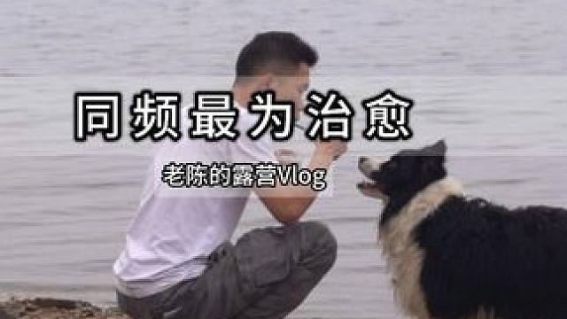 同频露营最为治愈 #露营⛺ #雨天露营 #保持热爱奔赴山海  #露营美食 #远离城市的喧嚣