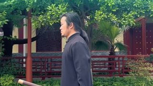 刘老师的双手刀出神入化 训练器械无危险性！#双手刀 #武当功夫 #凌云小金刚