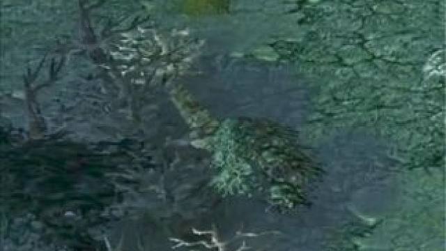 （一）大熊臻享版，大纷争面纱秀逗魔导师