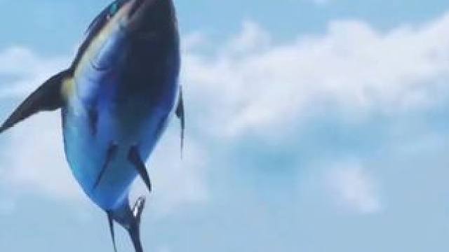 差最后一条鱼，我却出了个藏宝图，还能把它钓上来吗 #我是杰瑞米瓦德 #欢乐钓鱼大师