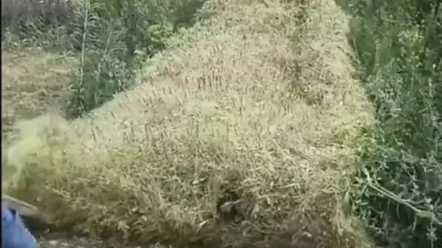 这也是技术活，很解压啊