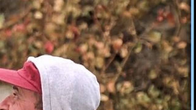 沙雕兄弟去钓鱼，偶遇通缉犯，成功反杀获得悬赏#电影解说