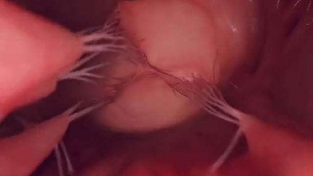 是谁的心啊，孤单的留下，他还好吗？