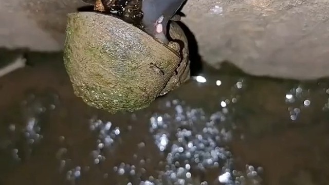 不是消消乐吗？