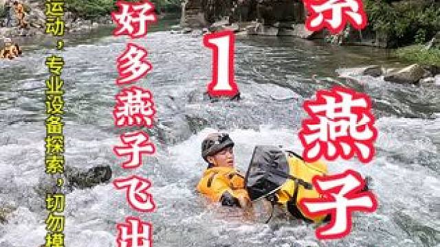 传说每到这个季节，大批的燕子从洞口飞出深入是另一个空间 #喀斯特地貌 #探洞 #美在山水间