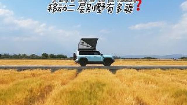 沉浸式在风吹麦浪中过夜 #户外 #治愈系风景 #极度舒适 #citydrive #开到野外撒个欢