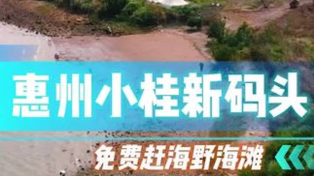 深圳开车一个小时直达的小众野海滩，免费赶海看海好去处！视频后面有详细路线！#赶海 #深圳赶海#看海#