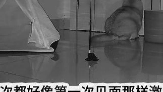 蛋蛋：虽然我们每天都见面，但是每天都好想你。 #记录猫咪日常 #监控下的一幕 #它真的好像个小宝宝 