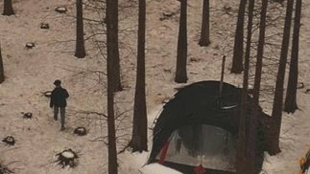 山前林后各有路，有风无风皆自由。 #露营