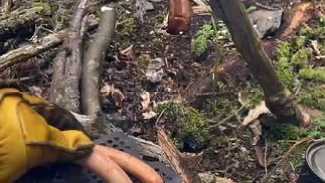 露营烤肠吃肉 #露营报告