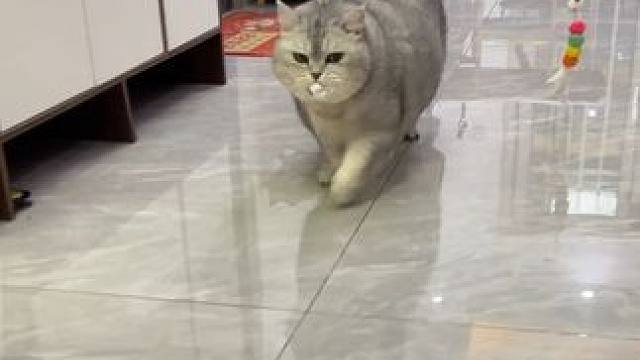 真的太爱了！没想到它会这么做 