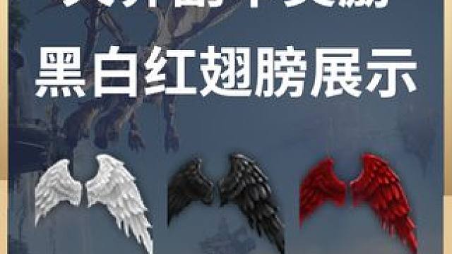 天界副本奖励-黑白红翅膀展示 本期视频非常感谢：折木小白与小鹅同学提供的视频帮助，东鸟大佬提供的黑白