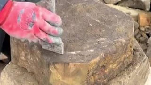 我发布了一个新视频，快来围观吧！