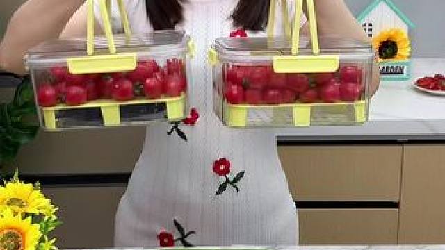 天气变暖了，出去旅游这个#便携式手提保鲜盒 ，出门都能吃到新鲜的水果了#出差旅行必带好物分享  #保