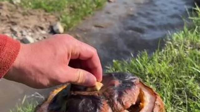 户外烤南瓜牛肉 #露营报告 #露营美食报告