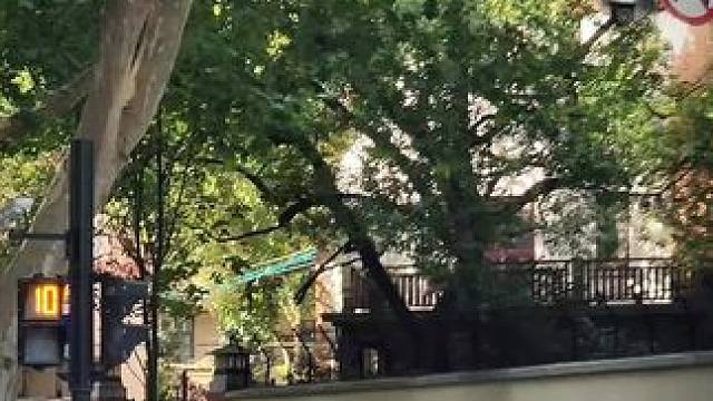 上海街头豪车街拍
