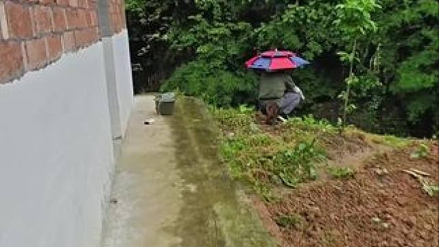 我发布了一个新视频，快来围观吧！