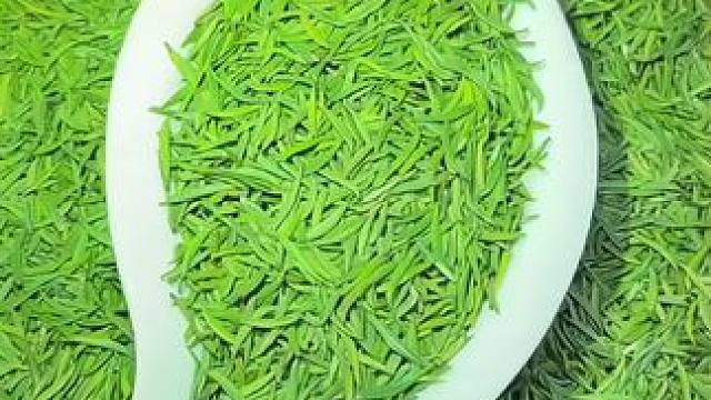 #采茶姑娘 你们知道那里的茶叶更好，评论区告诉我#茶园风光#与茶相伴的日子  #一份劳动一份收获