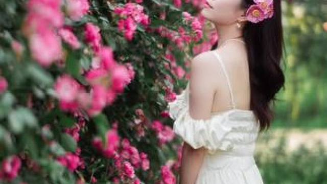 五一假期不知道去衡阳哪里玩，推荐这个地方，拍照真的超级出片哦#摄影 #蔷薇花拍照姿势大全 #拍照怎么