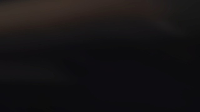 《昭奚旧草》语录