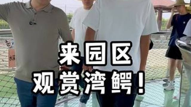 我们的湾鳄是最多滴！ #鳄鱼 #鳄鱼养殖场 #农村生活