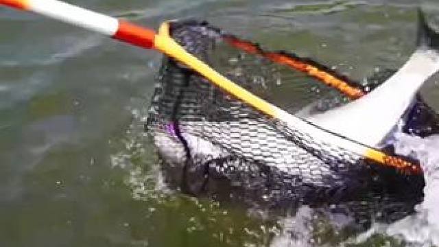 不到最后一刻结果属实难料啊！#LUL民间路亚王船钓赛 #钓鱼 #路亚 #钓鱼人就是这么疯狂 #钓鱼比