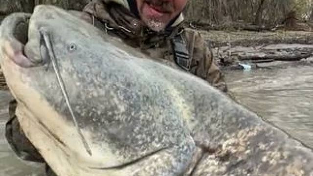 #国外视频分享 #好大一条鱼 #钓鱼人就是这么疯狂