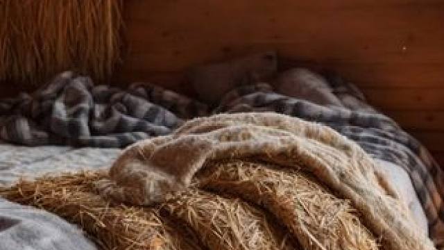 遭遇一场暴风雪，借住在温暖的柴房里，伴着呼啸风雪，放松入眠 #白噪音 #助眠声音 #睡眠音乐 #催眠