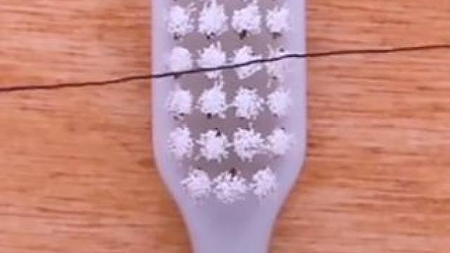 你不知道的科学小知识 #科普一下 #奇思妙想 #趣味实验 #科学魅力