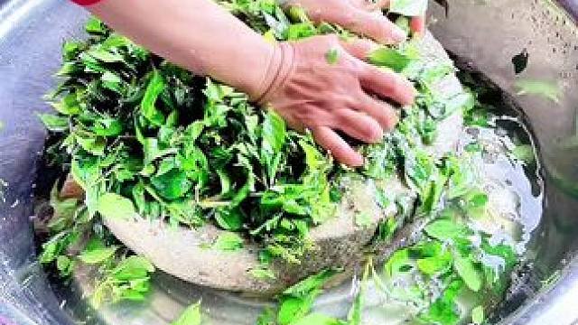 谁知道这个什么吗，一种树叶做的#你们吃过吗 #新鲜采摘 #绿凉粉草的做法