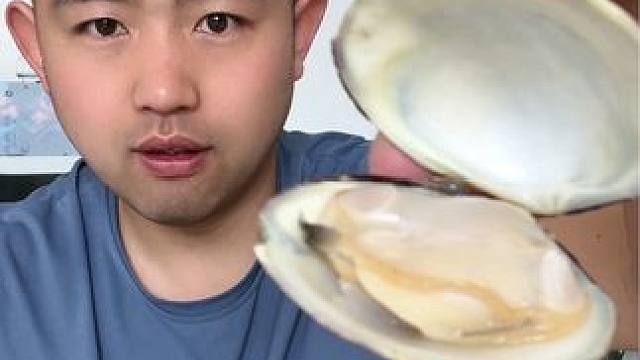 #揭秘 #试吃 #蛤蜊