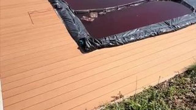 我发布了一个新视频，快来围观吧！