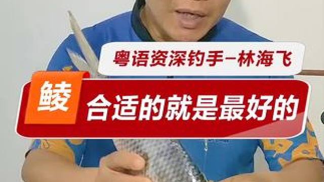 只有最适合的钓法 钓土鲮什么时候用梅州钓法，什么时候长子线，什么时候双铅大跑铅？#钓鱼#鲮鱼#梅州钓