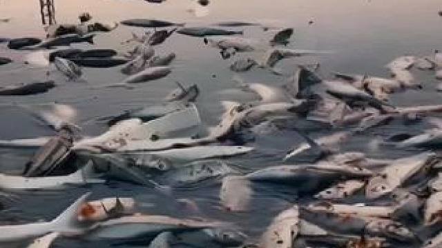 #日常生活小妙招 #实用小妙招 #科普一下 #经验分享