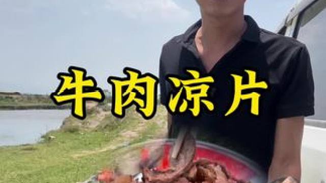 牛肉凉片#新农人计划2024#回村后的我#农村生活
