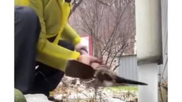 我发布了一个新视频，快来围观吧！