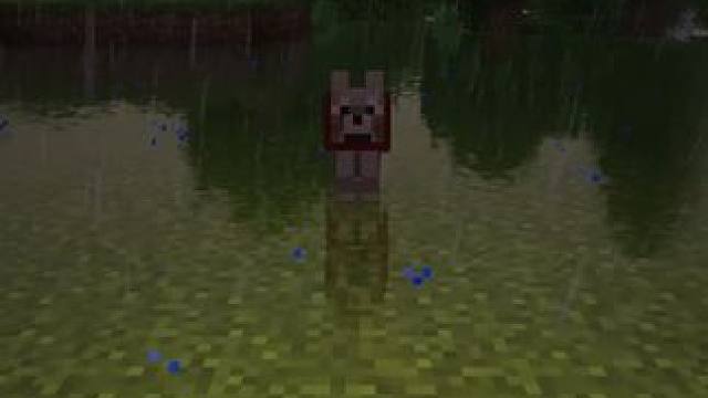 我发布了一个新视频，快来围观吧！