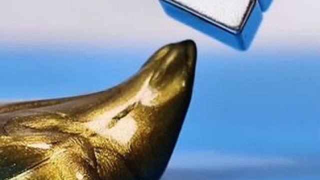 经常给孩子看这套漫画科学，不仅能让孩子爱上科学，还能培养孩子的数理化思维
 #物理启蒙 #儿童百科 