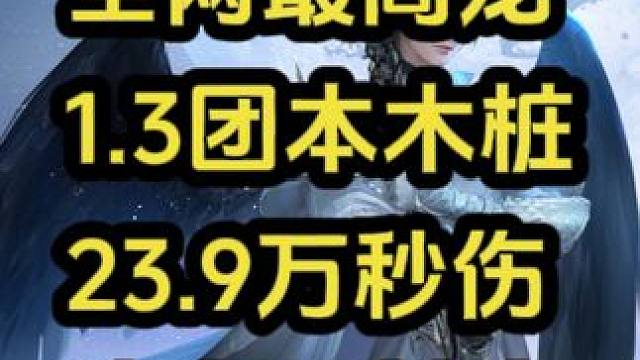 全网最高龙吟：冰火双剑流23.9万秒伤！ 1.3木桩纯享版，此版本完美收官
#逆水寒手游  #逆水寒