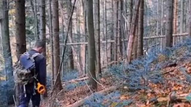 #野外生存技能 #野外生活纪录片 #农村原创视频 #野外生存 #户外求生技巧