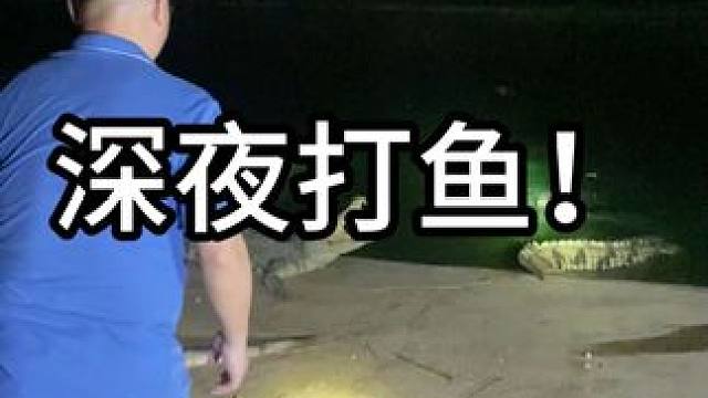 深夜不睡觉在干嘛呢！ #鳄鱼 #鳄珍 #皮带