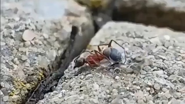 好像明白了什么