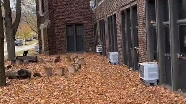 有趣的东西当然要分享给你们啦