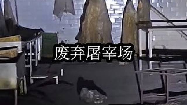 #废弃屠宰场 #宇小宇户外 #户外探险