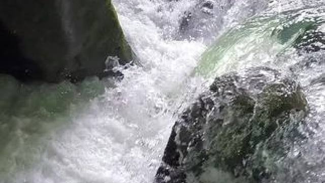 我发布了一个新视频，快来围观吧！