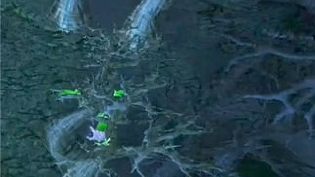 （三）大熊臻享版，劣单大树1v2